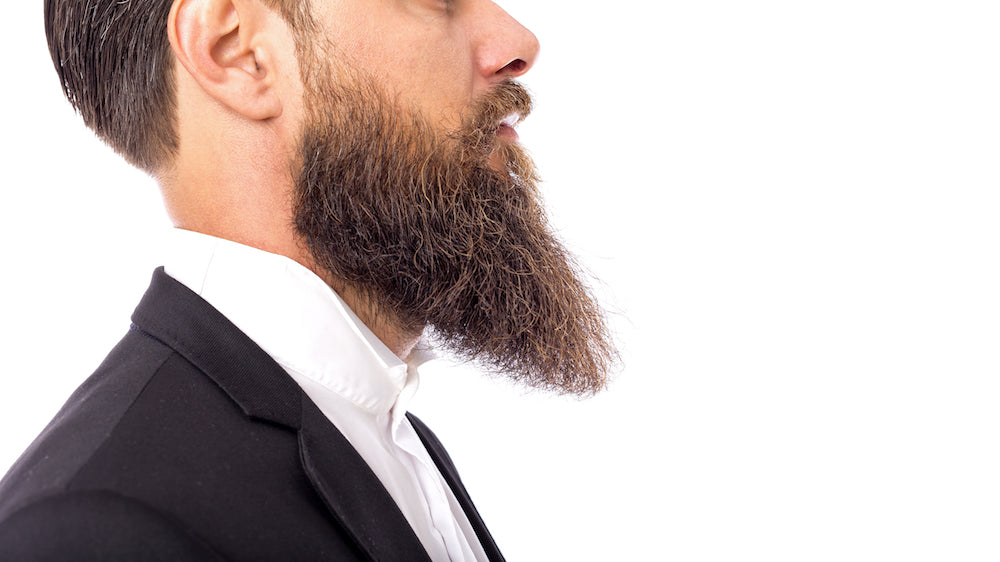 man in suit with long goatee